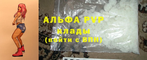стаф Гусев