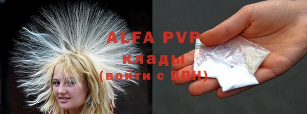 гашик Алексин