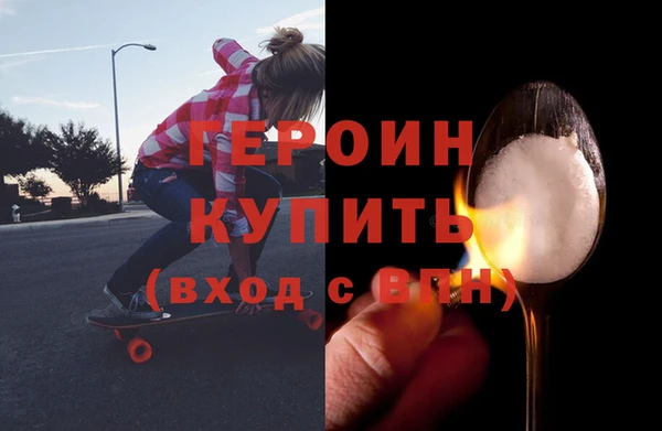 гашик Алексин