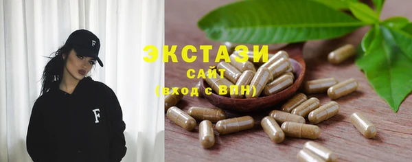 гашик Алексин