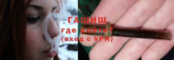 гашик Алексин