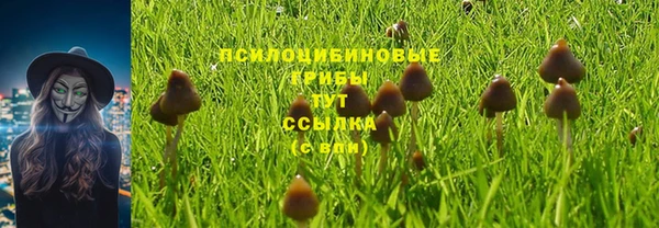 наркотики Алексеевка