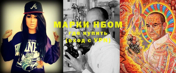 гашик Алексин
