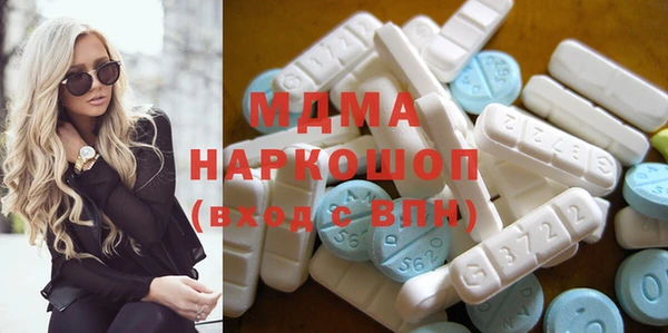 гашик Алексин
