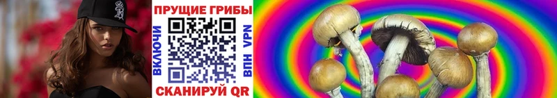 Псилоцибиновые грибы Magic Shrooms Николаевск-на-Амуре